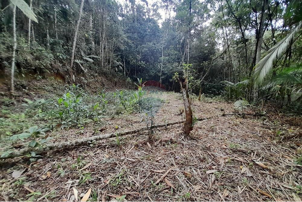 Terreno - Venda - Teresópolis , Rio de Janeiro - 20251012_092519.jpg - 630191084-20