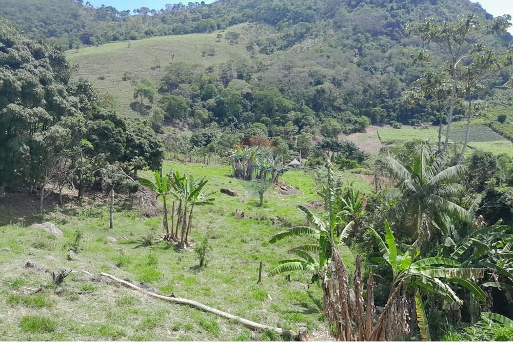 Chácara / Sítio / Fazenda - Venda - Bom Jardim , Rio de Janeiro - WhatsApp Image 2024-11-21 at 09.21.52.jpeg - 630171007-33