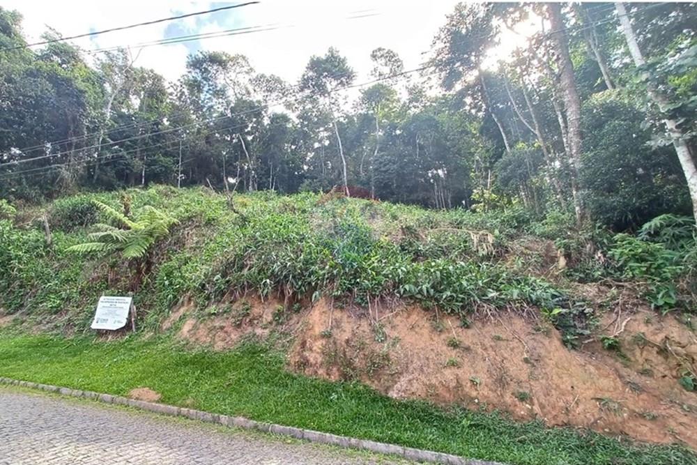 Terreno - Venda - Nova Friburgo , Rio de Janeiro - 68c02e06-da5d-43c1-b651-65da8eb64061.jpg - 630551049-25