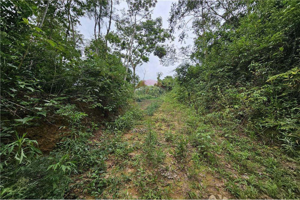 Terreno - Venda - Nova Friburgo , Rio de Janeiro - 23 - 630551016-143