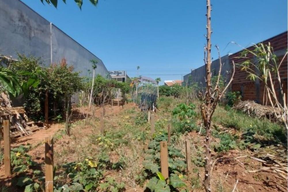 Terreno - Venda - Presidente Prudente , São Paulo - WhatsApp Image 2025-10-02 at 13.02.25 (1).jpeg - 630861066-6