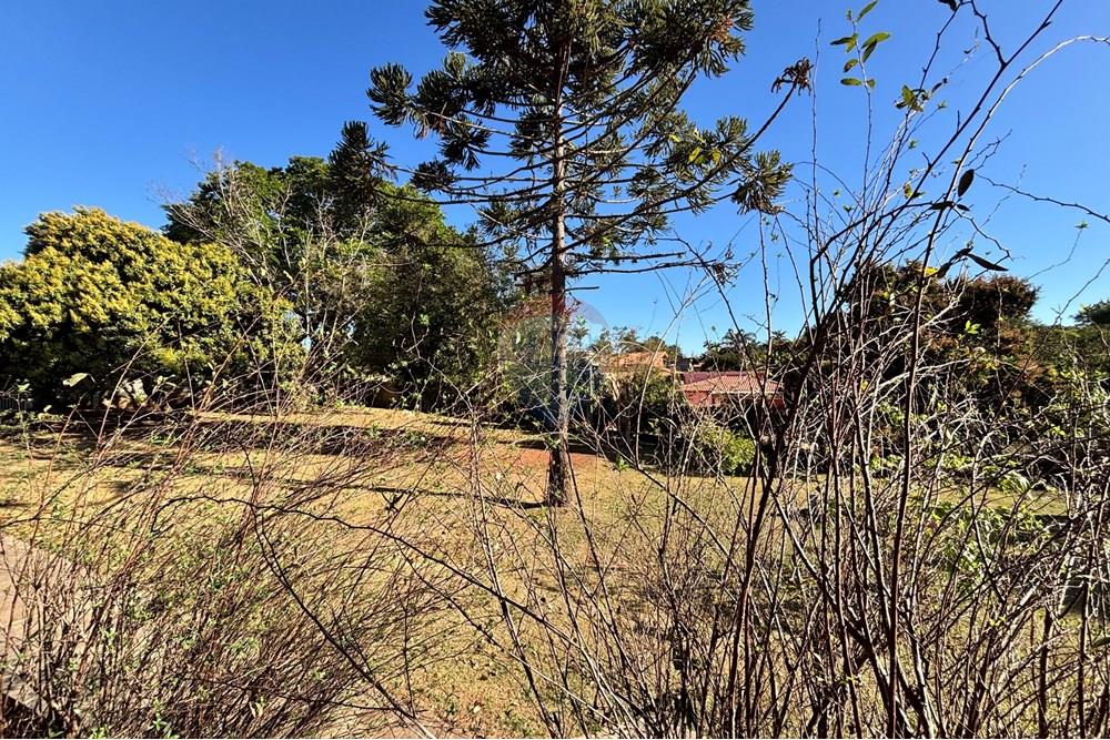 Chácara / Sítio / Fazenda - Venda - Araçoiaba da Serra , São Paulo - IMG_5195.jpeg - 630591061-143