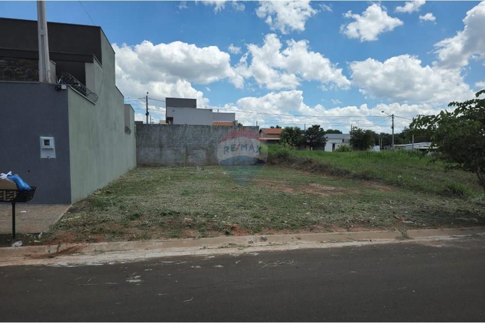 Terreno - Venda - Cedral , São Paulo - WhatsApp Image 2024-11-11 at 15.33.02 (1).jpeg - 631481001-5