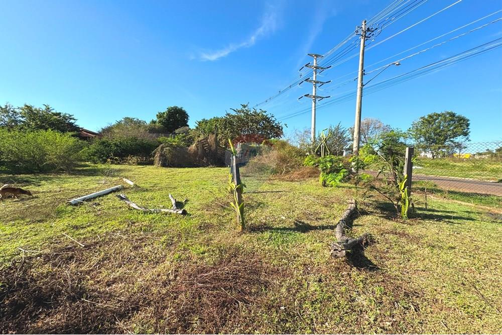 Chácara / Sítio / Fazenda - Venda - Araçatuba , São Paulo - 20250604_124225475_iOS.jpg - 630541038-46