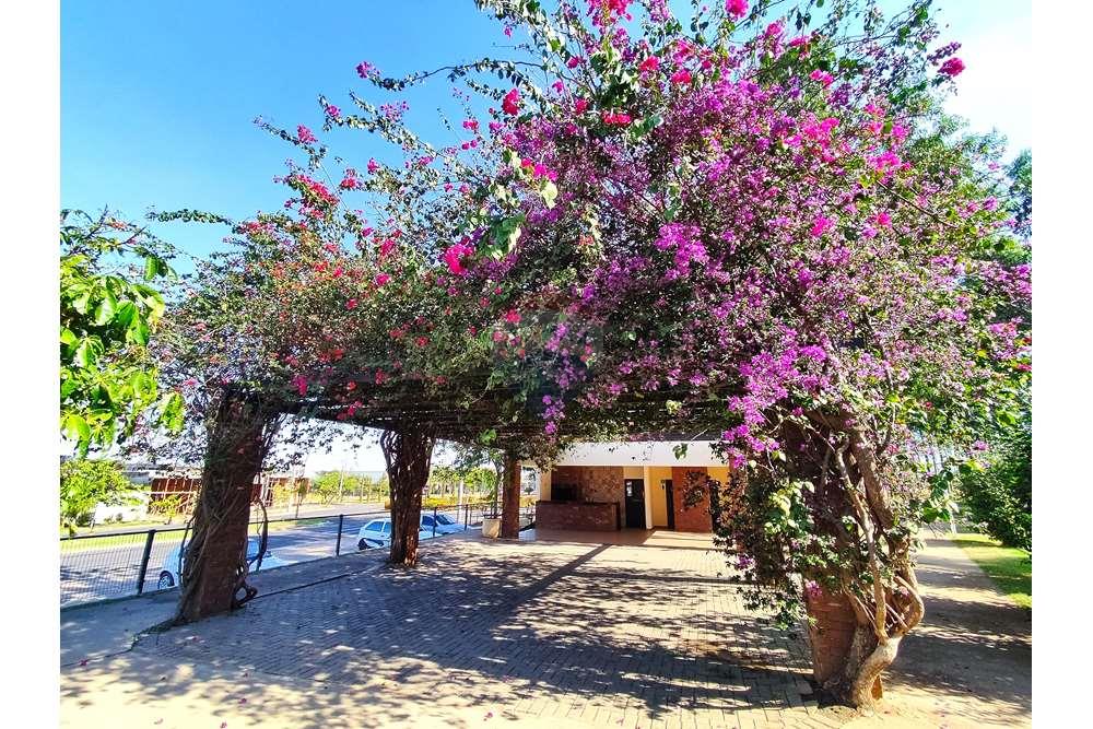 Terreno - Venda - Araçatuba , São Paulo - 1719422512863-01.jpeg - 630851059-65