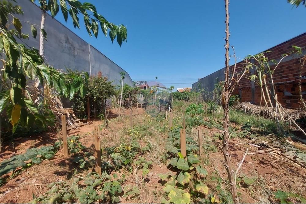 Terreno - Venda - Presidente Prudente , São Paulo - WhatsApp Image 2025-10-02 at 13.02.25 (3).jpeg - 630861066-4