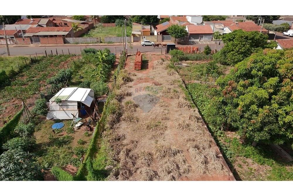 Terreno - Venda - Andradina , São Paulo - IMG 09.jpg - 631201011-63