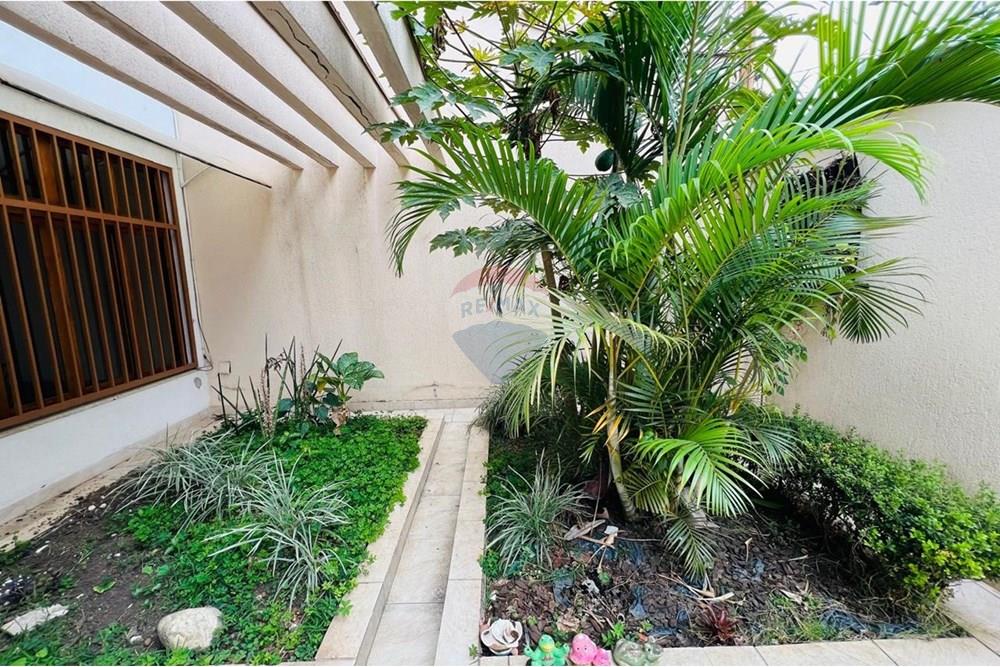 Casa - Alugar - Suzano , São Paulo - jardim.jpeg - Jardim Externo - 631251023-42