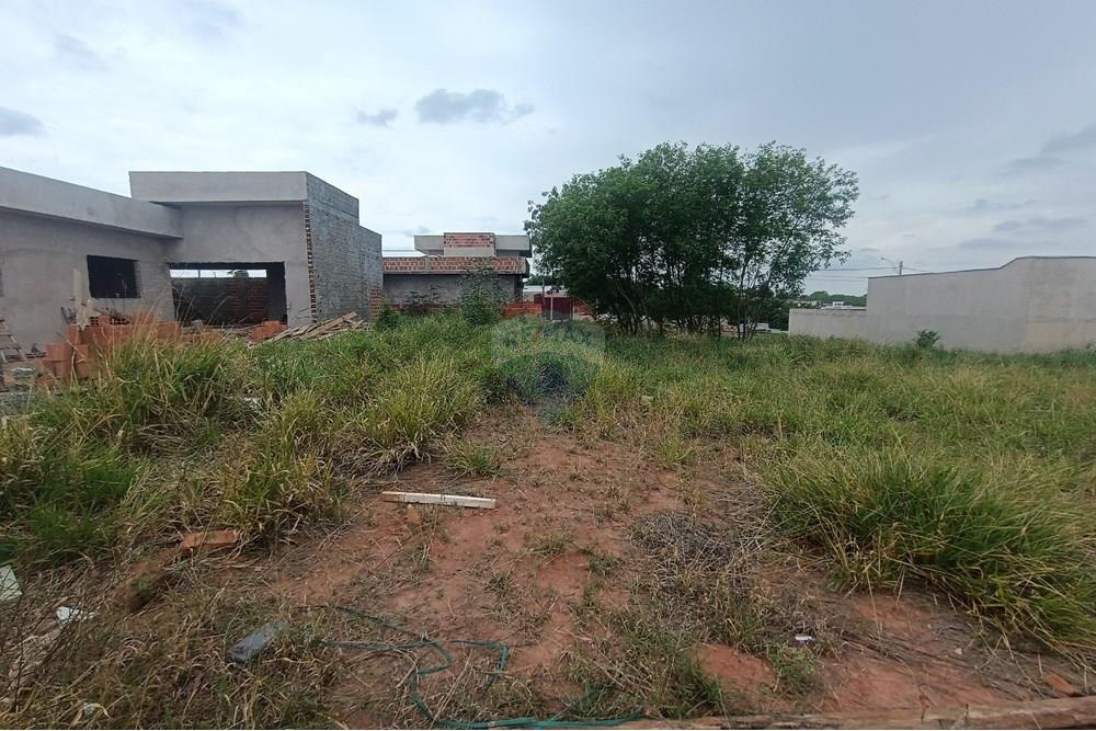 Terreno - Venda - Presidente Prudente , São Paulo - IMG_20251028_120053.jpg - 630861066-13