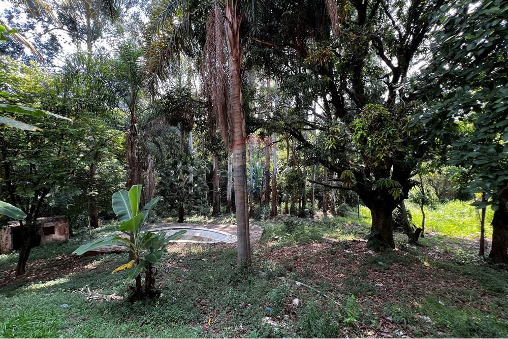 Terreno - Venda - Sorocaba , São Paulo - IMG_7264.jpg - 630601137-120