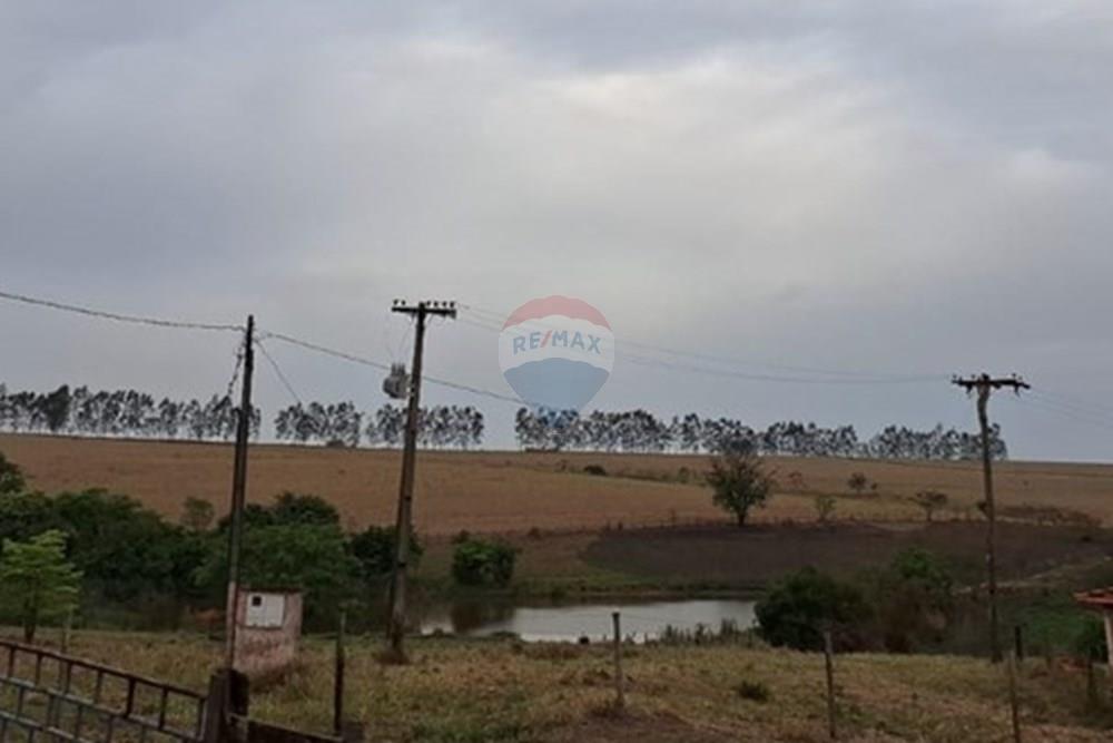 Chácara / Sítio / Fazenda - Venda - Fernandópolis , São Paulo - WhatsApp Image 2024-10-21 at 10.36.51 (1).jpeg - 630541038-16