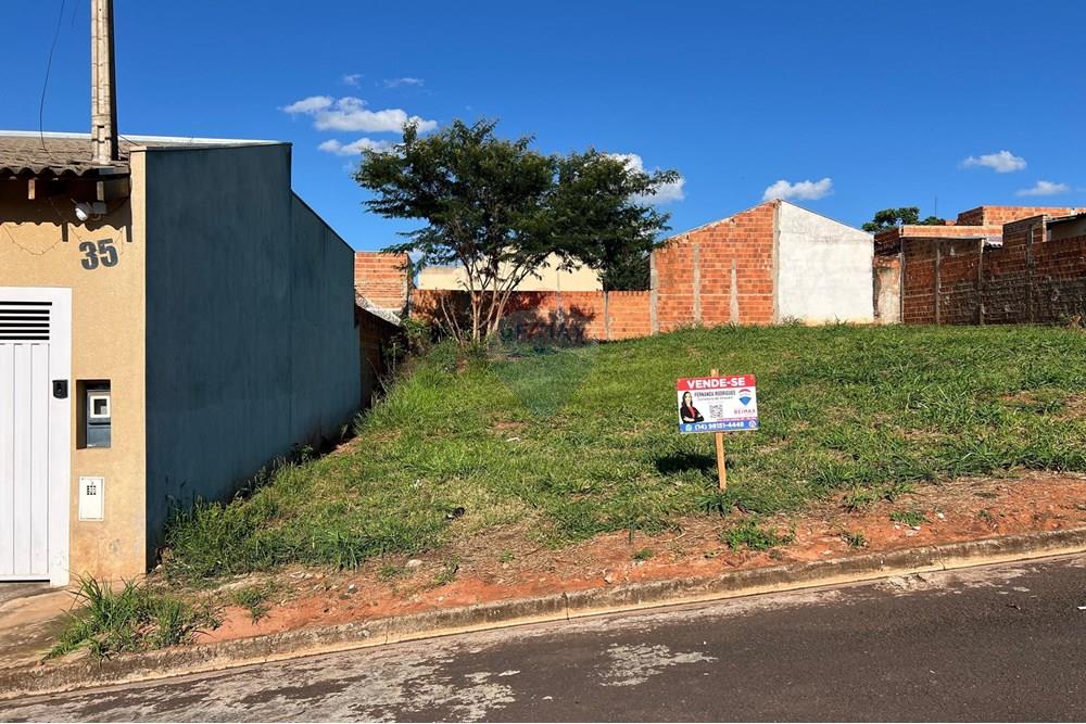 Terreno - Venda - Promissão , São Paulo - WhatsApp Image 2024-12-30 at 16.53.55.jpeg - Quintal - 631011035-8