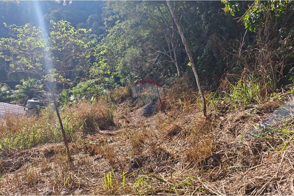 Terreno - Venda - São Sebastião , São Paulo - 6.jpg - 631461059-18