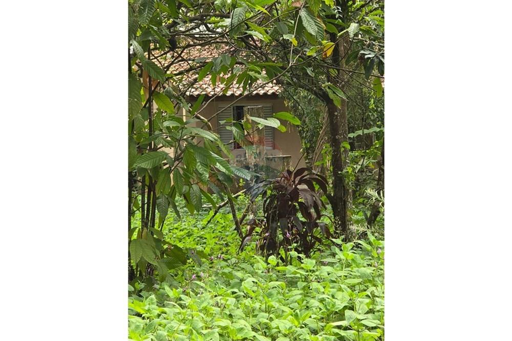 Terreno - Venda - São Sebastião , São Paulo - WhatsApp Image 2025-10-28 at 12.56.07.jpeg - Jardim Externo - 631461002-53