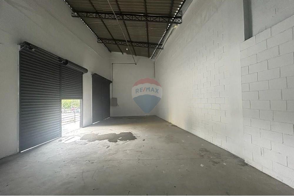 Ponto Comercial/ Loja - Alugar - São Bernardo do Campo , São Paulo - exclusive (18).jpeg - 630821068-37