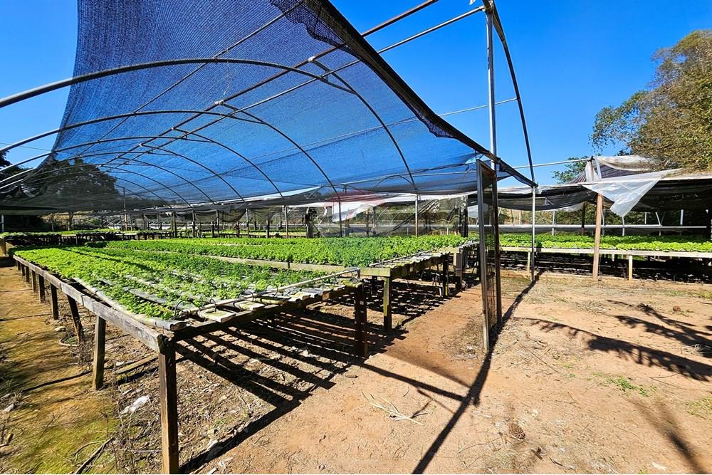 Fazenda - Venda - Botucatu , São Paulo - IMG-20250717-WA0051.jpg - 630111096-7