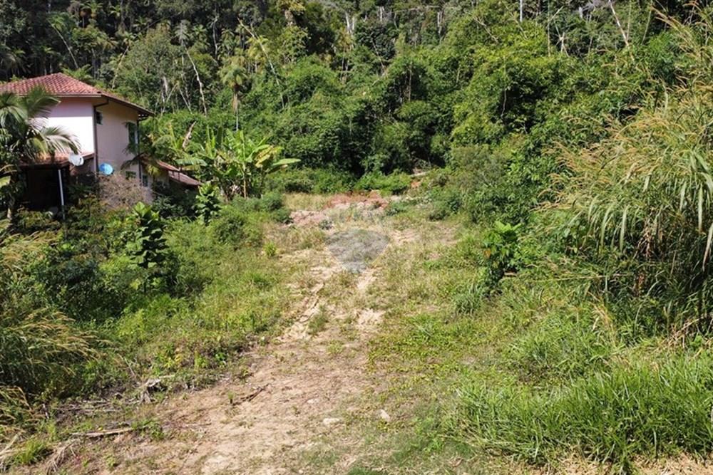 Terreno - Venda - Nova Friburgo , Rio de Janeiro - dji_fly_20250715_110146_468_1752588253370_photo_optimized.jpg - 630551016-151