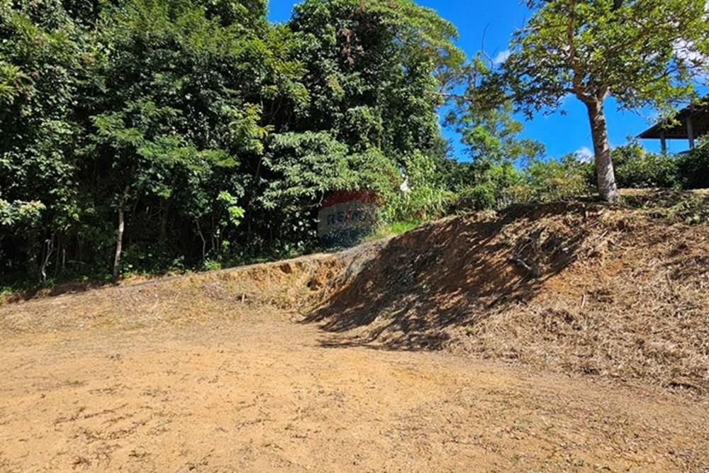 Terreno - Venda - Nova Friburgo , Rio de Janeiro - 20250505_111933.jpg - 630551024-73