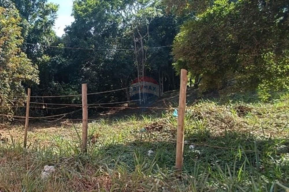 Terreno - Venda - Armação dos Búzios , Rio de Janeiro - WhatsApp Image 2025-02-26 at 15.13.37.jpeg - 630391113-3