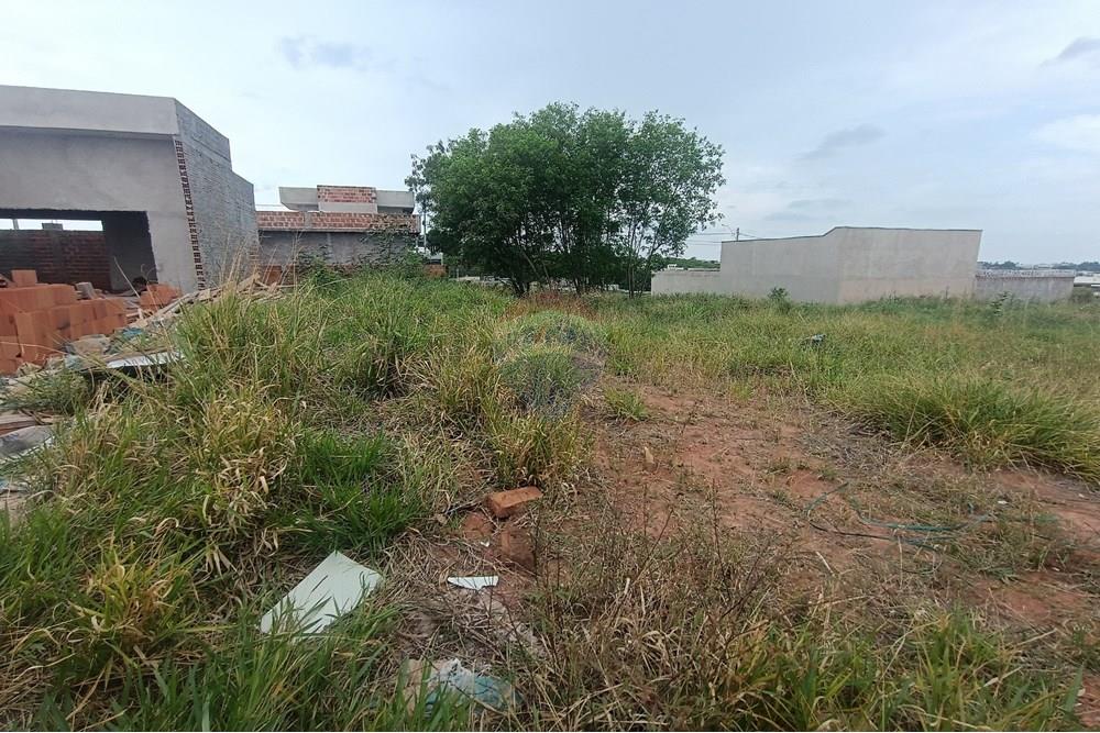 Terreno - Venda - Presidente Prudente , São Paulo - IMG_20251028_120215.jpg - 630861066-13