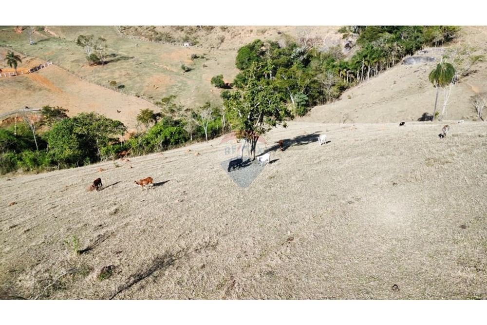 Chácara / Sítio / Fazenda - Venda - Santa Isabel , São Paulo - IMG-20250901-WA0307.jpg - 631491029-10