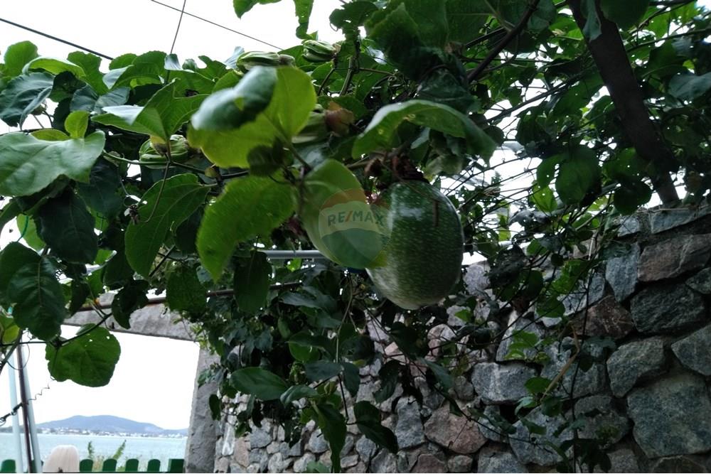 Casa - Venda - São Pedro da Aldeia , Rio de Janeiro - Imagem do WhatsApp de 2025-09-03 à(s) 20.50.15_1fdd12c8.jpg - 630361033-52