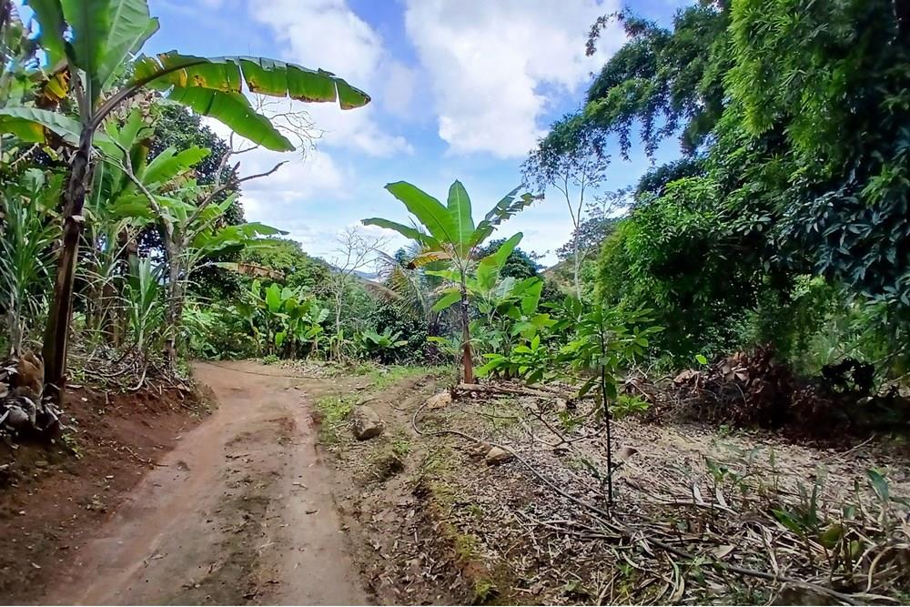 Chácara / Sítio / Fazenda - Venda - Sumidouro , Rio de Janeiro - 20250614_113216.jpg - 630551084-18
