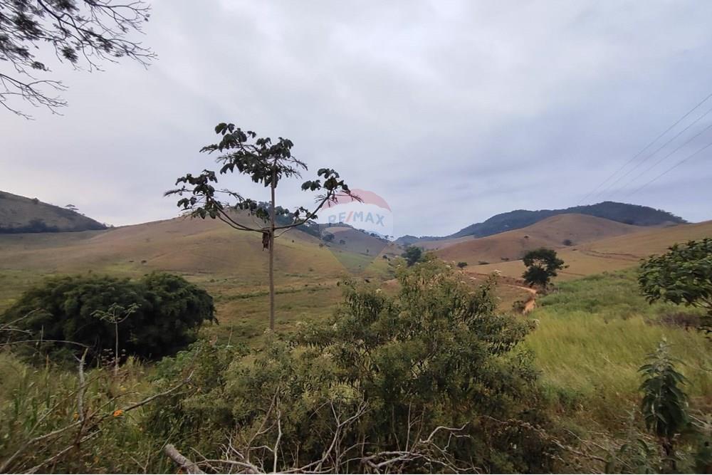 Chácara / Sítio / Fazenda - Venda - Duas Barras , Rio de Janeiro - 7.jpg - 630171001-39