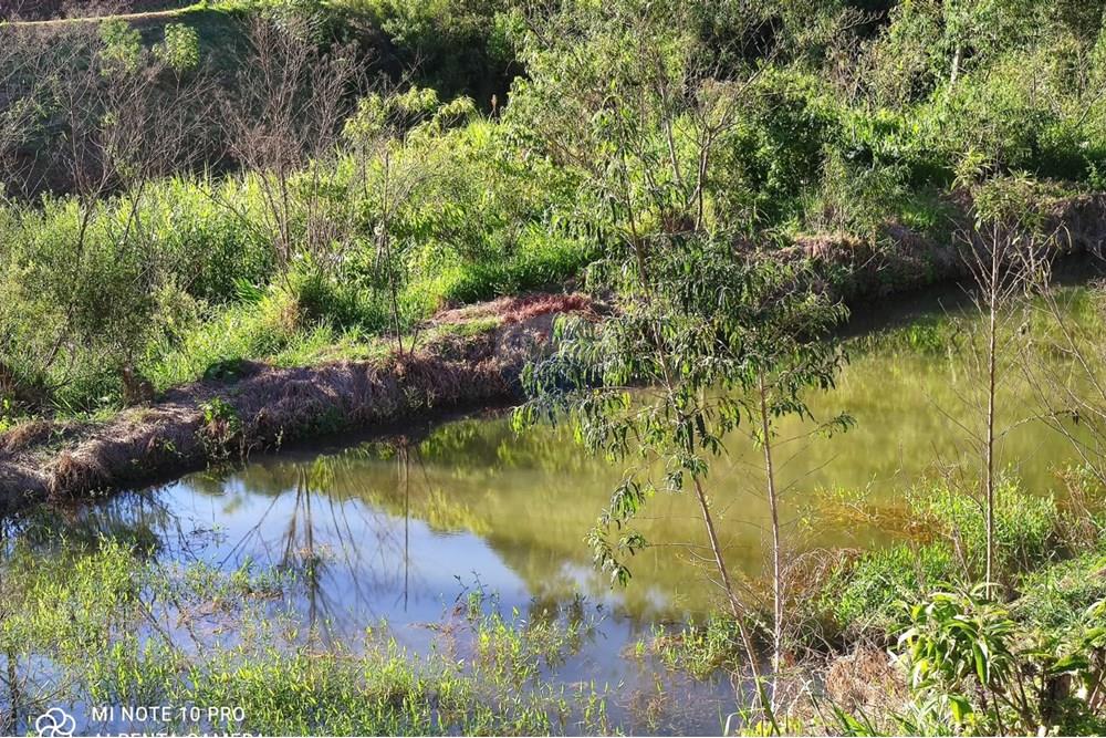 Chácara / Sítio / Fazenda - Venda - Toledo , Minas Gerais - WhatsApp Image 2025-02-28 at 11.28.51.jpeg - 630251077-54