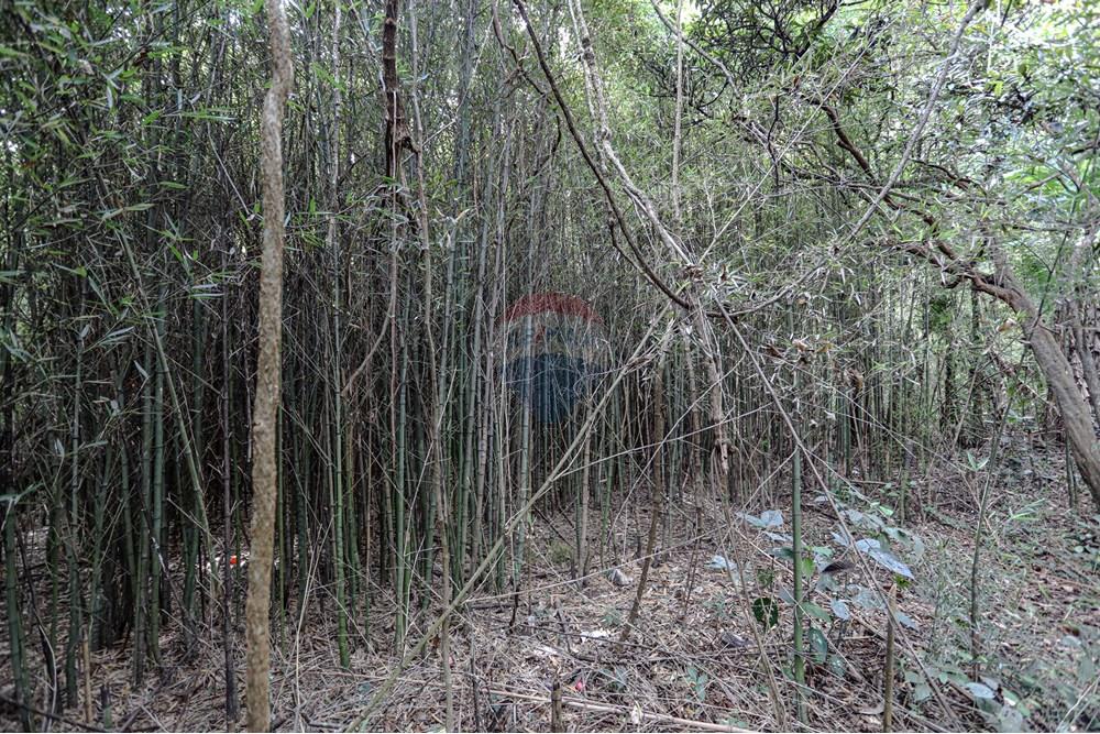 Terreno - Venda - Suzano , São Paulo - Remax- Estrada do Ribeirão 500 Suzano -7095.jpg - 630281011-753