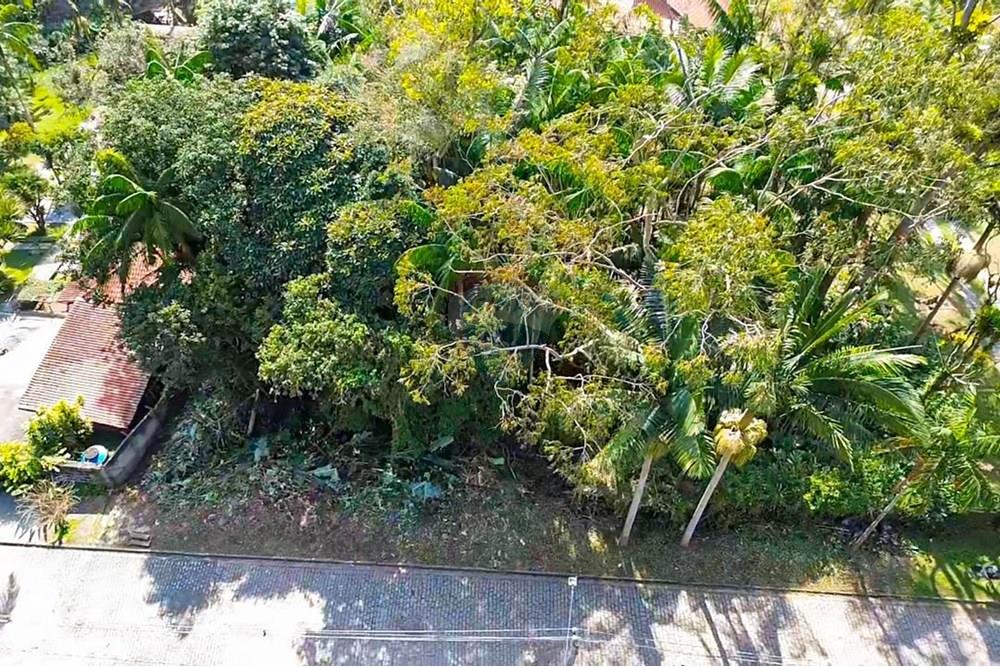 Terreno - Venda - Ribeirão Pires , São Paulo - 5.jpg - 631371003-96