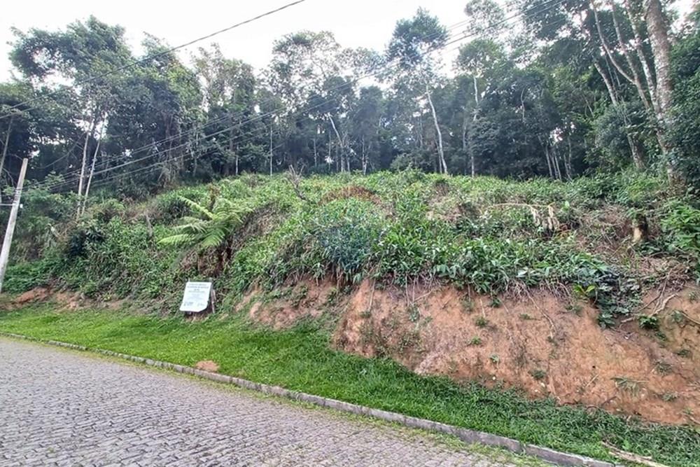 Terreno - Venda - Nova Friburgo , Rio de Janeiro - 6f1050e9-1cee-4ce8-8657-747a2905a427.jpg - 630551049-25
