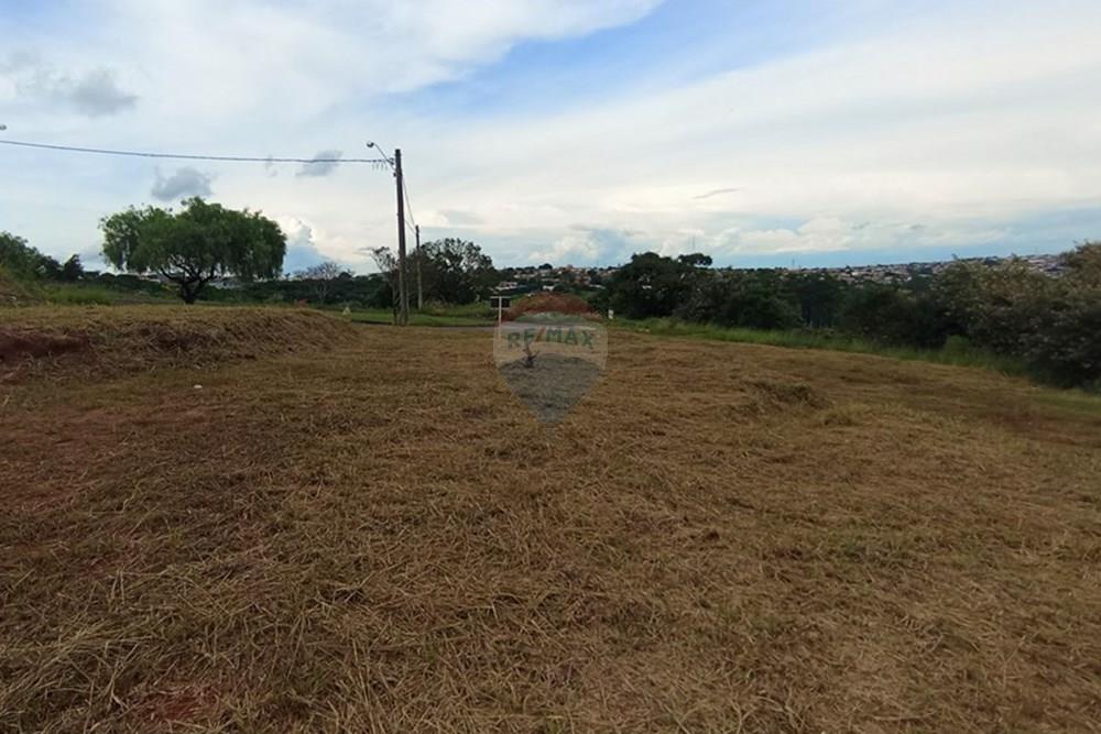 Terreno - Venda - Botucatu , São Paulo - 8-IMG_20250205_172304.jpg - Quintal - 630481103-76