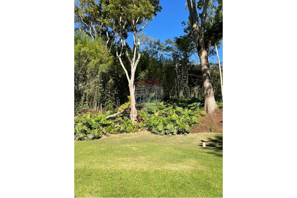 Terreno - Venda - Petrópolis , Rio de Janeiro - WhatsApp Image 2025-10-22 at 06.22.11 (1).jpeg - 630131067-229