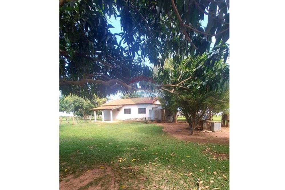 Chácara / Sítio / Fazenda - Venda - Araçatuba , São Paulo - WhatsApp Image 2024-10-29 at 14.36.52 (3).jpeg - 630541038-37