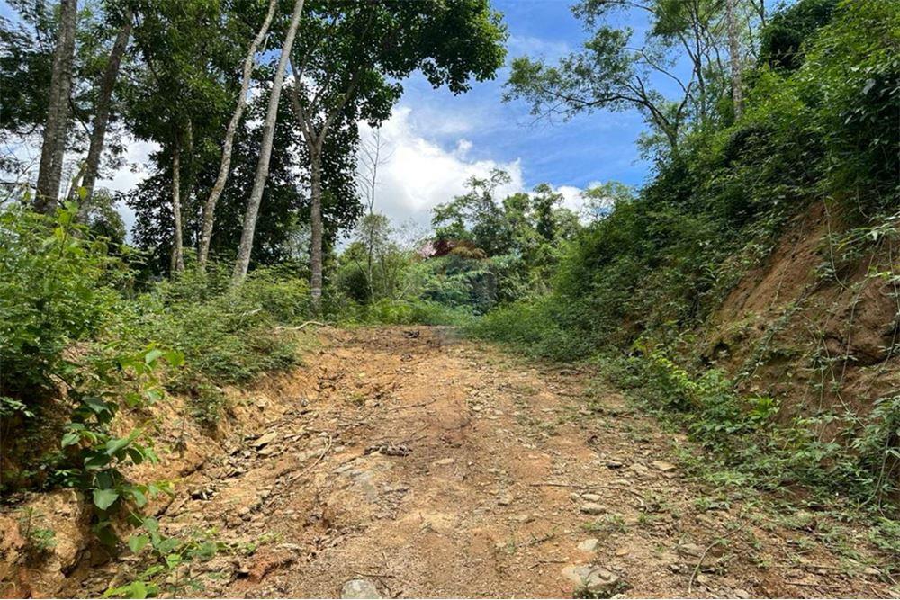 Terreno - Venda - Nova Friburgo , Rio de Janeiro - 48 - 630551016-143