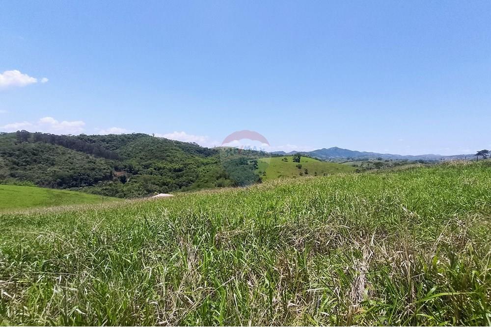 Terreno - Venda - Paraíba do Sul , Rio de Janeiro - IMG_20241112_115520 - Copia.jpg - 631411001-81