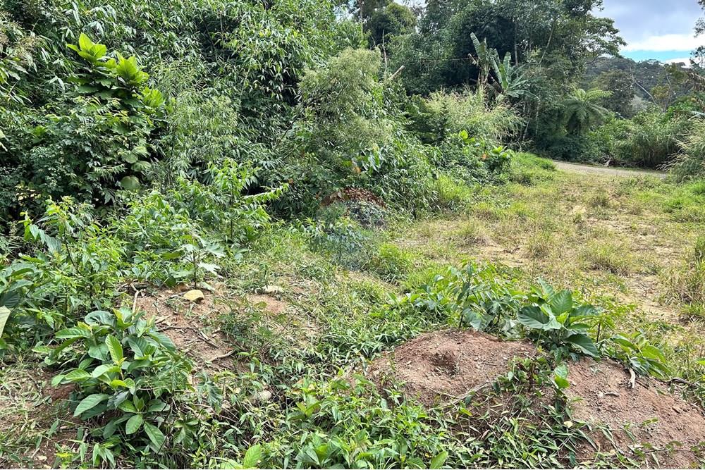 Terreno - Venda - Nova Friburgo , Rio de Janeiro - IMG_6117.jpg - 630551016-151