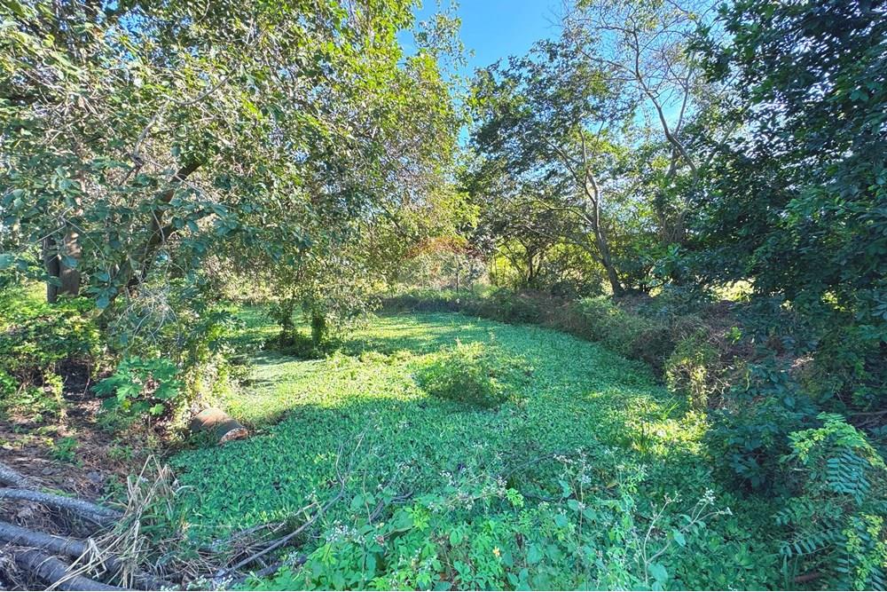 Chácara / Sítio / Fazenda - Venda - Araçatuba , São Paulo - 20250604_123938673_iOS.jpg - 630541038-46