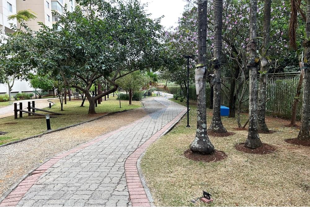 Apartamento - Venda - Guarulhos , São Paulo - IMG_7299.JPG - 630251036-49