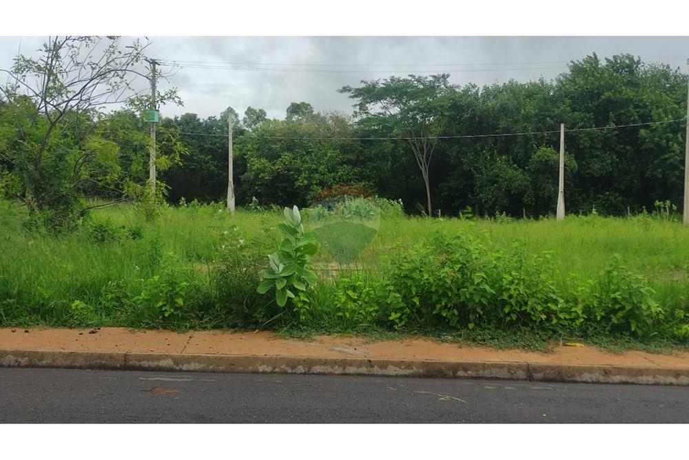 Terreno - Venda - Andradina , São Paulo - WhatsApp Image 2025-02-07 at 10.50.37.jpeg - 631201044-130