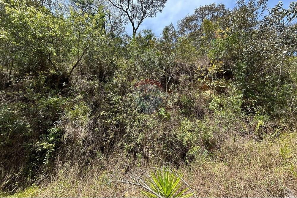 Terreno - Venda - Mairiporã , São Paulo - Imagem do WhatsApp de 2025-10-20 à(s) 12.13.03_2debad86.jpg - 631361005-153