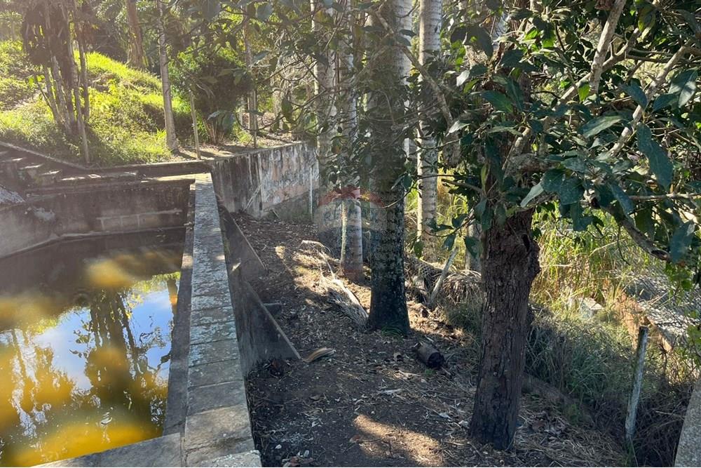 Chácara / Sítio / Fazenda - Venda - Teresópolis , Rio de Janeiro - WhatsApp Image 2025-08-05 at 12.43.26 (3).jpeg - 630191097-4