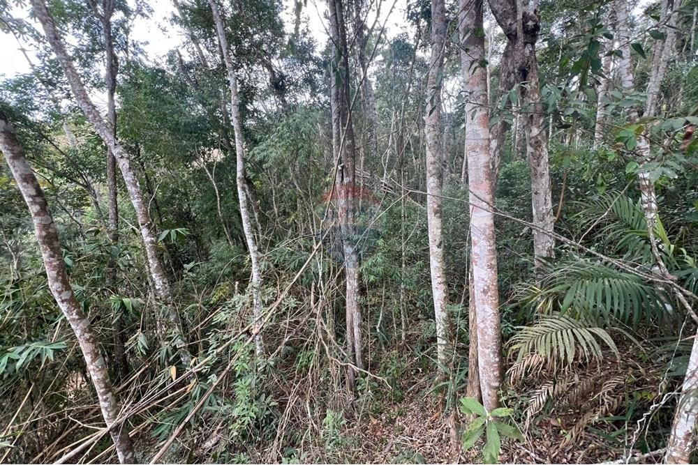 Terreno - Venda - Teresópolis , Rio de Janeiro - IMG-20250715-WA0010.jpg - 630191078-34