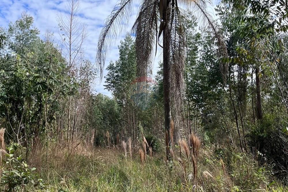 Terreno - Venda - Cabreúva , São Paulo - foto 13.jpg - 630531013-11