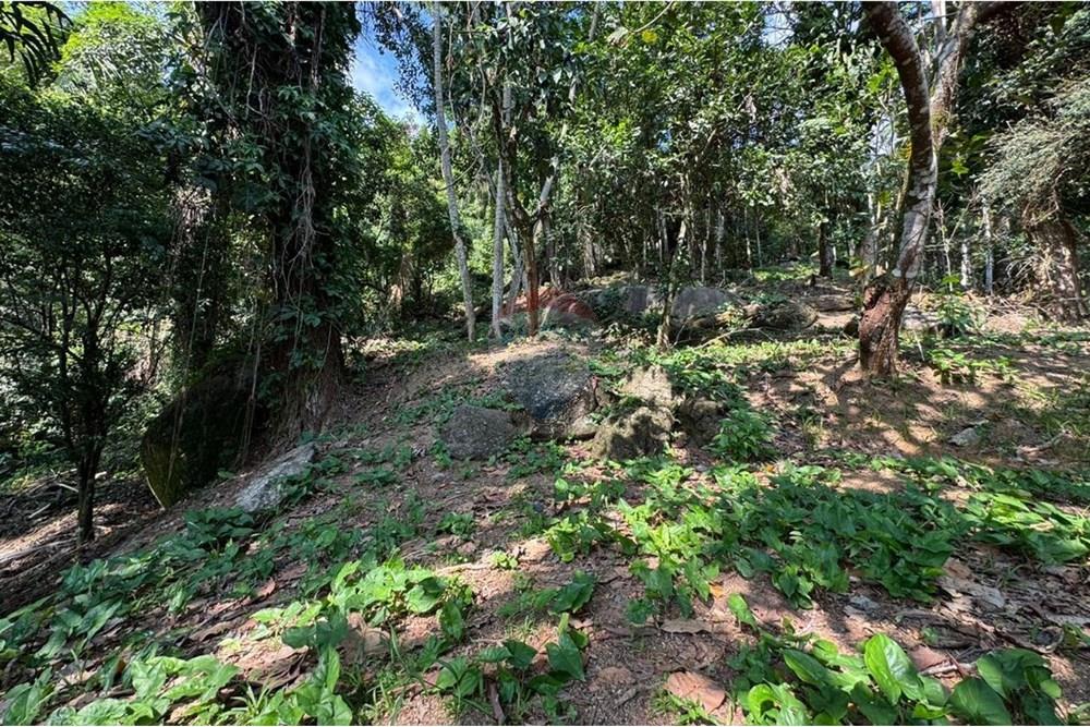 Terreno - Venda - Ilhabela , São Paulo - IMG-20250604-WA0017.jpg - 630951011-24