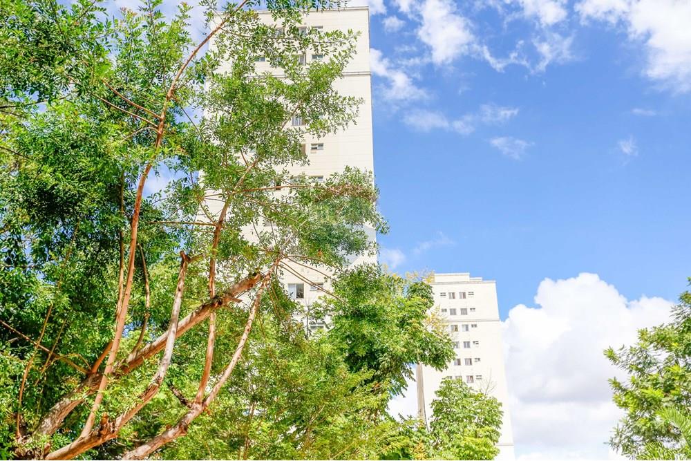 Apartamento - Venda - Sorocaba , São Paulo - _MG_5276.jpg - 630601262-36