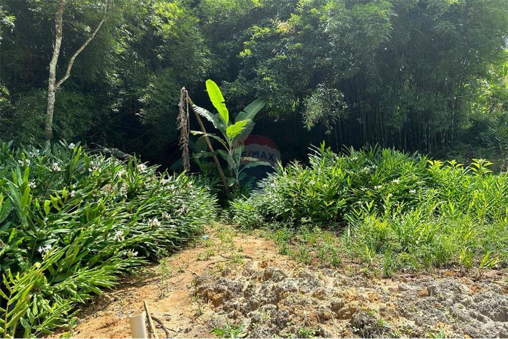 Terreno - Venda - Nova Friburgo , Rio de Janeiro - 50 - 630551016-143