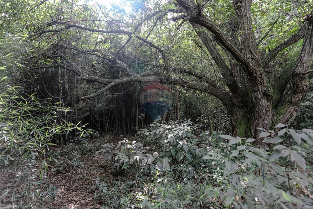 Terreno - Venda - Suzano , São Paulo - Remax- Estrada do Ribeirão 500 Suzano -7093.jpg - 630281011-753