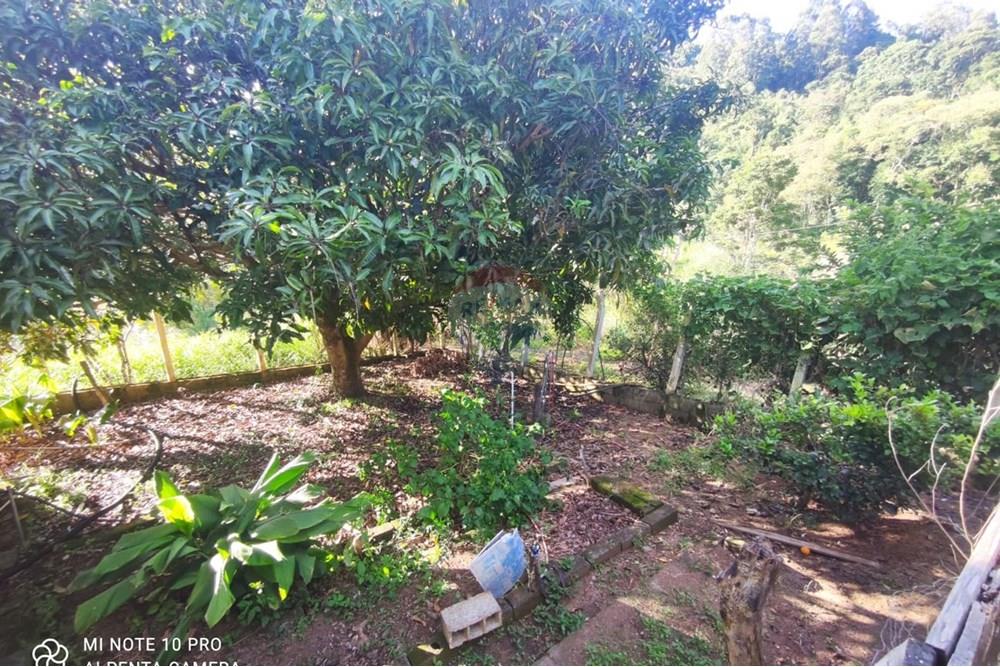 Chácara / Sítio / Fazenda - Venda - Toledo , Minas Gerais - WhatsApp Image 2025-02-28 at 11.28.50.jpeg - 630251077-54